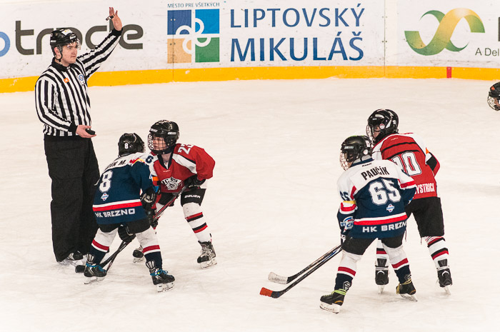 hokej-turnaj-lm-313.jpg