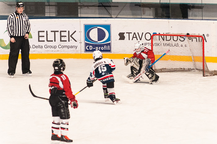 hokej-turnaj-lm-317.jpg