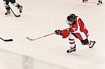 hokej-turnaj-lm-319.jpg