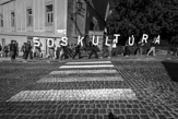 _TUC3895, 1/1250 sec at f / 8,0, ISO 200