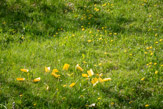 _TUC8079, 1/500 sec at f / 8,0, ISO 320